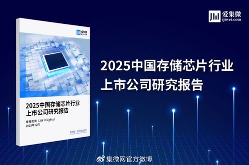 2025中國存儲芯片行業上市公司研究報告 技術演進、市場格局與投資機遇